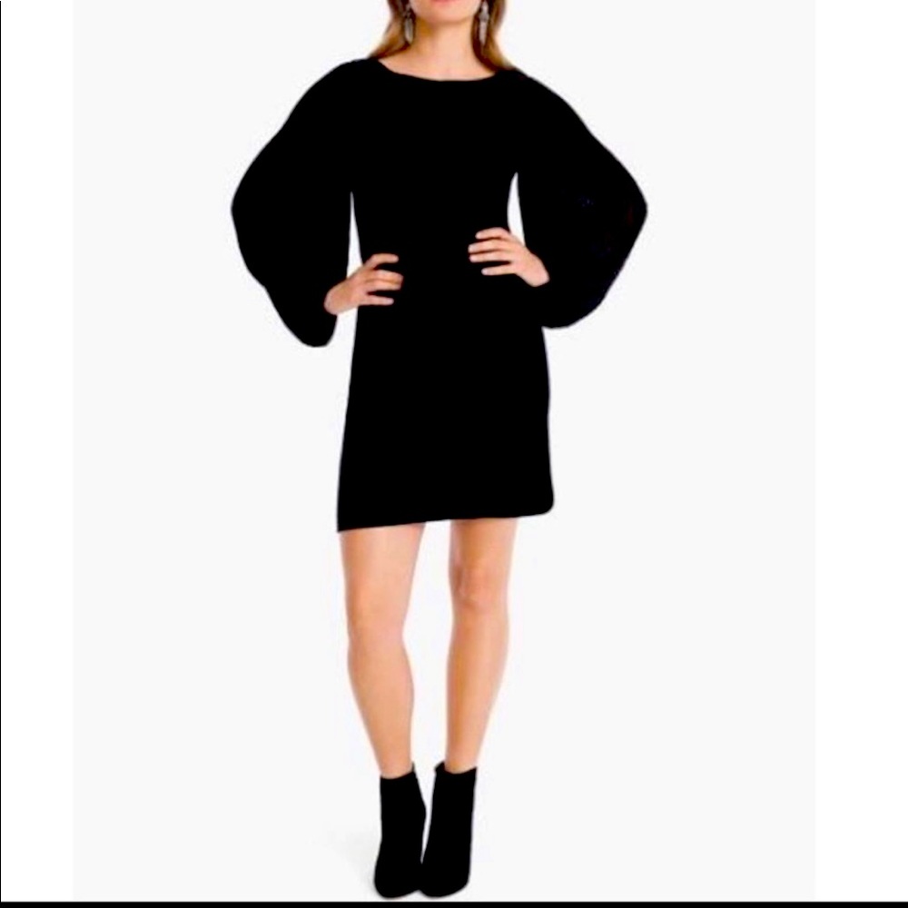 NWT - WHBM Chiffon Sleeve Black Velvet Shift Dress